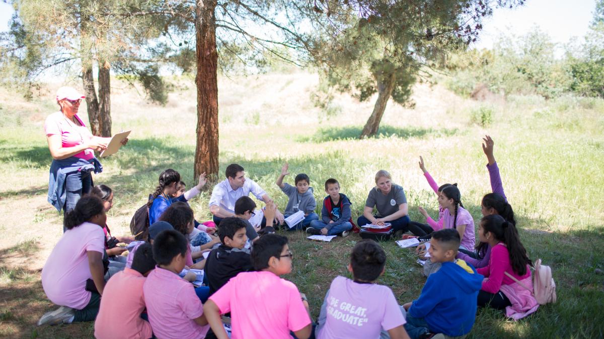 Group of students sitting on grass