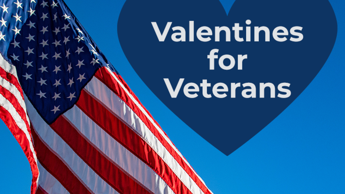 valentines for vets flag
