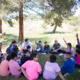 Group of students sitting on grass