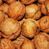 closeup image of walnuts
