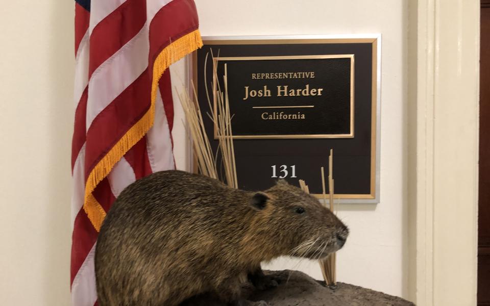 Rep. Josh Harder sign with small animal