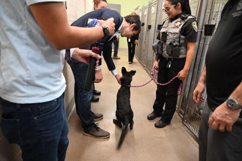 Josh Harder with dog at Manteca Animal shelter