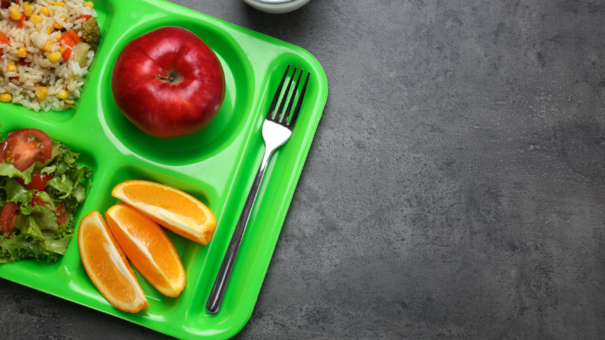 school lunch tray