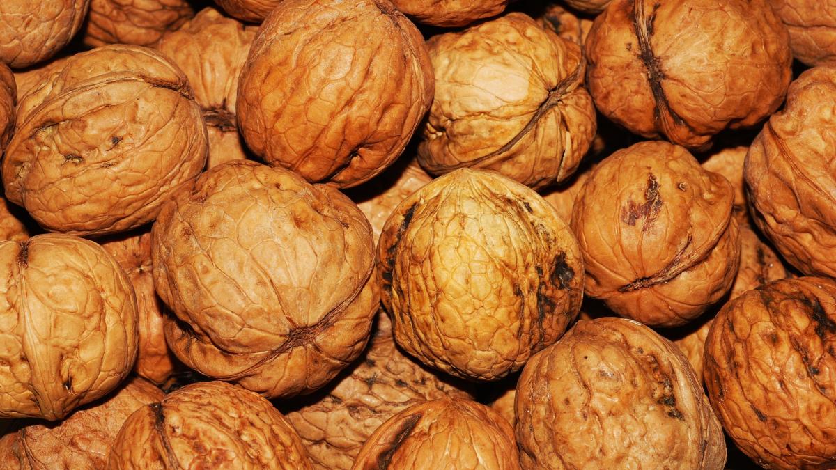 closeup image of walnuts