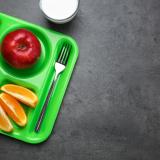 school lunch tray